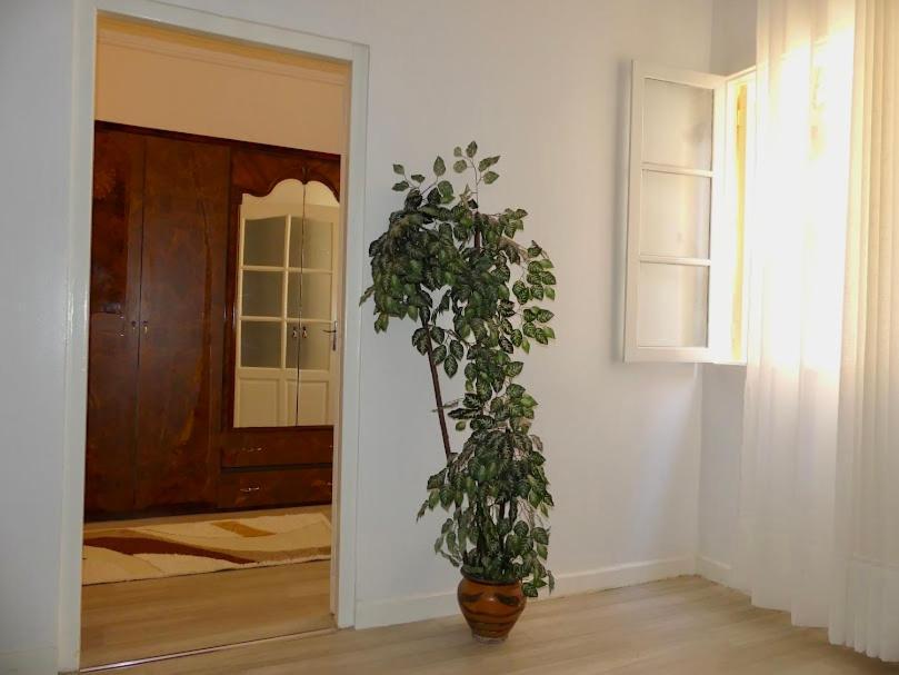 A Cozy Home Right In The Heart Of Tanger Exterior foto
